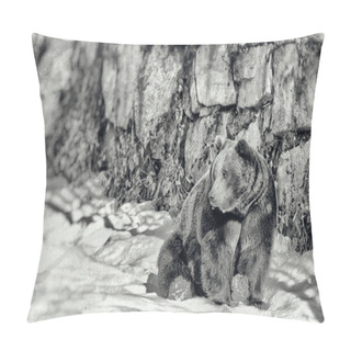 Personality  Vintage Style Image Of A Brown Bear (Ursus Arctos) In The Bayerischer Wald National Park, Bayern, Germany Pillow Covers