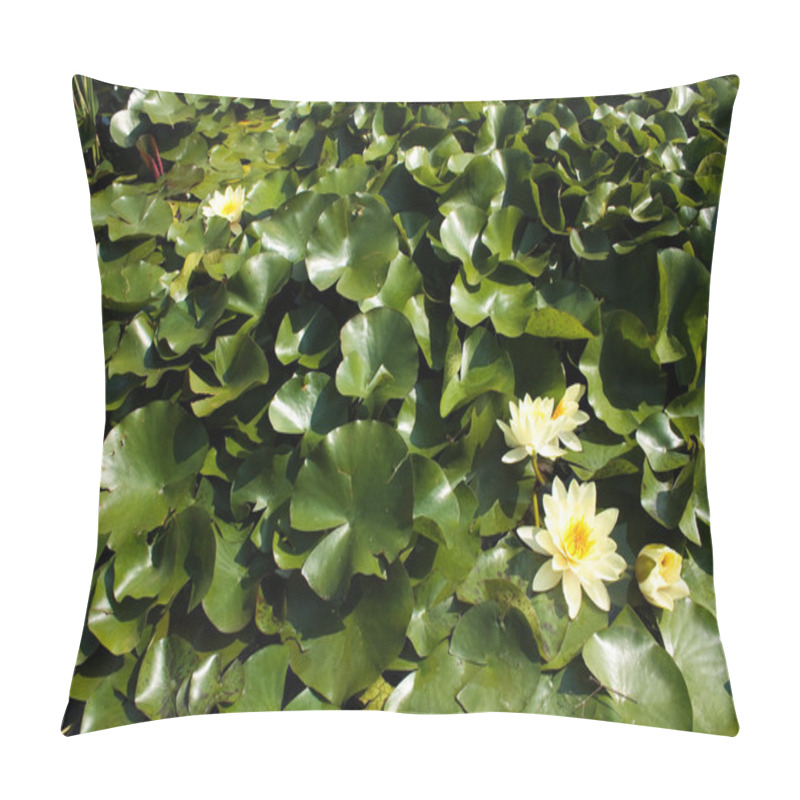 Personality  Water lilies pillow covers