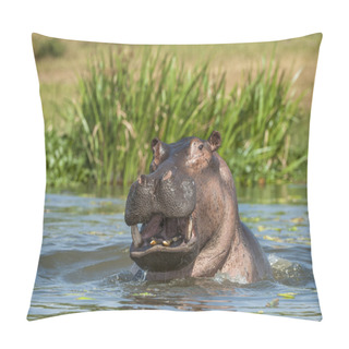 Personality  Yawning Common Hippopotamus In Water Pillow Covers