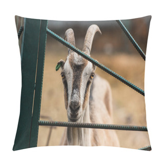 Personality  Spotted Goat With Horns Near Fence Of Corral On Farm Pillow Covers