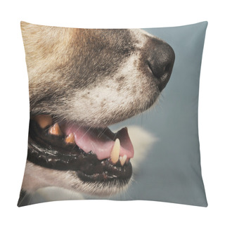 Personality  Happy Dog. Pillow Covers