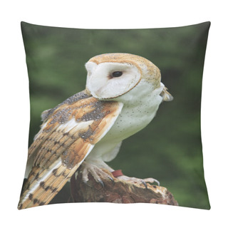 Personality  Barn Owl Pillow Covers