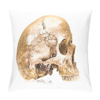 Personality  Virtual Reality Human Skull Isolated On White Background Pillow Covers