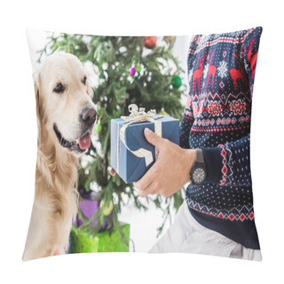 Personality  Man In Christmas Sweater Giving Blue Gift Box To Dog Pillow Covers