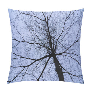 Personality  View From Below Of Leafless Trees In Winter. On The Background Of The Sky At Twilight. Pillow Covers