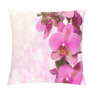 Personality  Orchid Isolated On Pink Background Pillow Covers