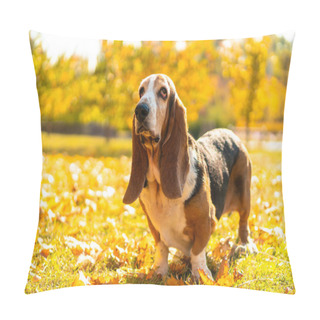 Personality  Dog Basset Hound Autumn Park Walk Pillow Covers