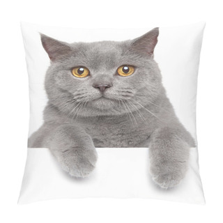 Personality  British Gray Cat On A White Banner Pillow Covers