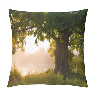 Personality  Oak Tree In Full Leaf In Summer Standing Alone Pillow Covers