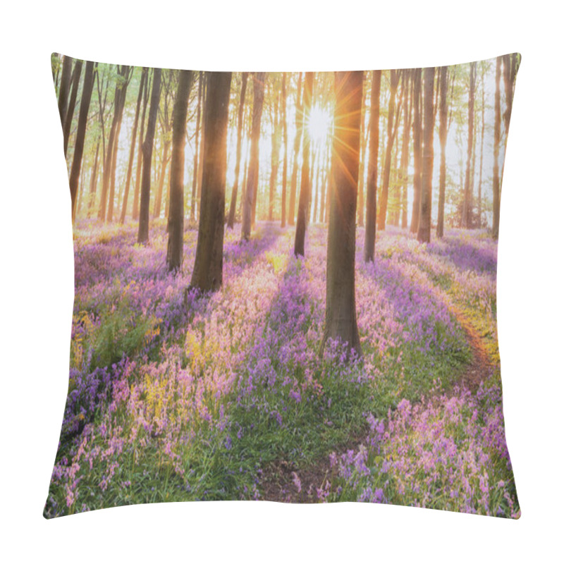 Personality  Bluebell Forest Path At Sunrise Pillow Covers