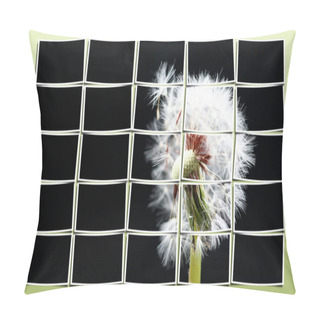 Personality  Dandelion Pillow Covers