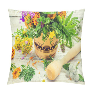 Personality  Herbs In A Mortar. Medicinal Plants. Selective Focus.  Pillow Covers