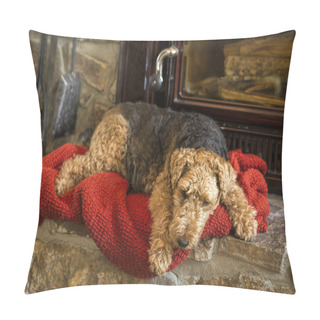 Personality  Welsh Terrier Dog On An Orange Blanket In By A Fire  Pillow Covers