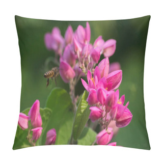 Personality  Antigonon Leptopus Hook Is A Beautiful Bouquet Of Flowers. Pillow Covers