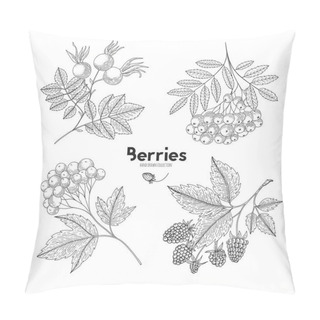 Personality  Collection Of Hand Drawn Berries Isolated On White Background. Botanical Illustration Of Engraved Berry. Viburnum, Rowan, Raspberry, Rosehip. Design For Package Of Health And Beauty Natural Products. Pillow Covers