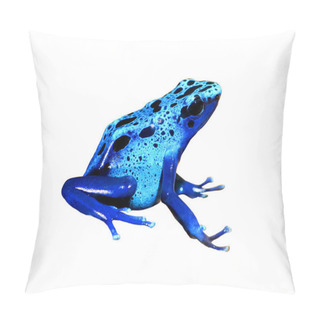 Personality  Colorful Blue Frog Dendrobates Tinctorius Isolated Pillow Covers