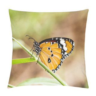 Personality  Butterfly On A Flower. Pillow Covers
