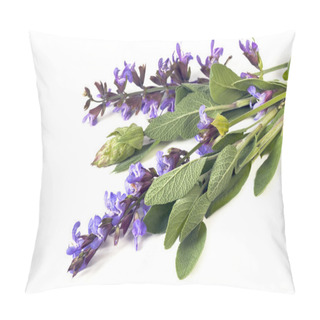 Personality  Sage Over White Pillow Covers
