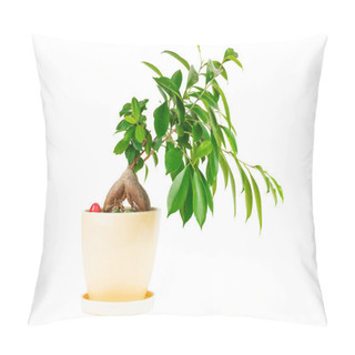 Personality  Outline Ficus. Room Flower In Ceramic Flowerpot Pillow Covers