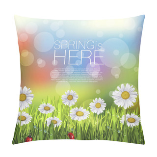 Personality  Spring Daisies With Ladybugs Pillow Covers
