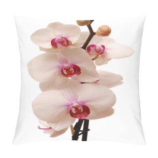 Personality  Orchid Pillow Covers