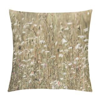 Personality  Close-up View Of Beautiful Blooming Wildflowers In Field At Sunny Day Pillow Covers