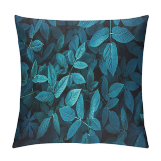 Personality  Trend Dark Blue Background With Leaves. Plant In Shadow. Copyspace For Design Pillow Covers