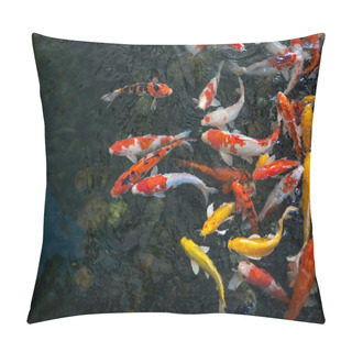 Personality  Colorful Fancy Carp Fish, Koi Fish, Fish Japanese Swimming (Cypr Pillow Covers
