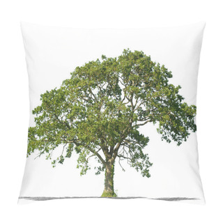 Personality  Beautifull Green Tree On A White Background In High Definition Pillow Covers