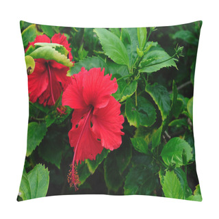 Personality  Tropical Flowers Pillow Covers