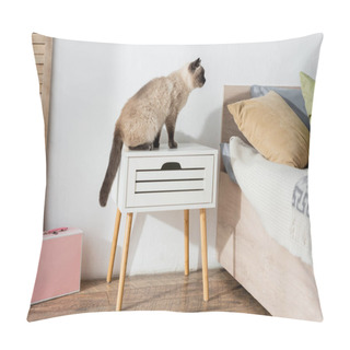 Personality  Cat Sitting On Bedside Table Near Bed With Pillows Pillow Covers