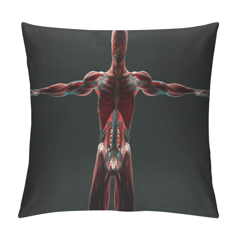 Personality  Human anatomy model pillow covers