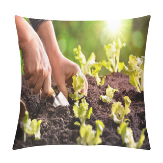 Personality  Farmer Planting Young Seedlings Of Lettuce Salad  Pillow Covers
