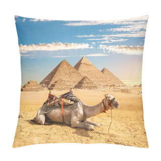 Personality  Camel Near Pyramids Pillow Covers