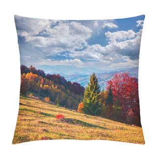 Personality  Morning In The Carpathian Mountain Forest. Pillow Covers
