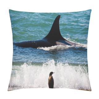 Personality  Group Of Orca Whales Pillow Covers