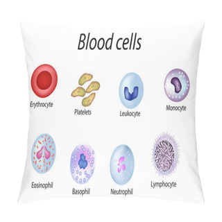 Personality  Blood Cells. Set Of Colored Cells. Red Blood Cells, Platelets, Leukocytes, Lymphocytes, Eosinophils, Neutrophils, Basophils, Monocytes. Infographics. Vector Illustration On Isolated Background Pillow Covers