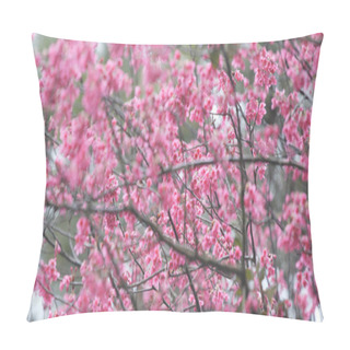 Personality  Cherry Blossom Bloom Pink Flowers  Pillow Covers