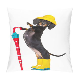 Personality  Sausage Dachshund Umbrella Rain Dog Pillow Covers
