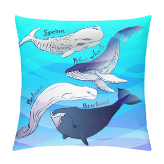 Personality  Vector Illustration Of Ocean Animals Pillow Covers
