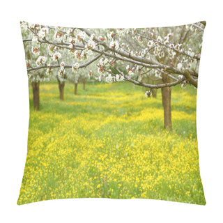 Personality  Spring Cherry Blossom Trees In Green Field Pillow Covers