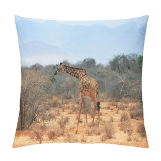 Personality  Alone Giraffe At The Drought Season In Kenya Pillow Covers