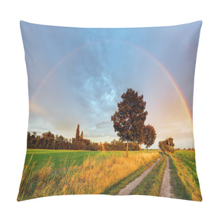 Personality  Rainbow Over Field Road Pillow Covers