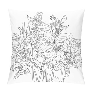 Personality  Vector Coloring Botanical Illustration With Columbine Flowers . Colouring Page. Floral Print. Monochrome Line Drawing Pillow Covers