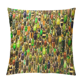 Personality  A Colorful Collection Of Beetles In Montreal Insectarium Pillow Covers