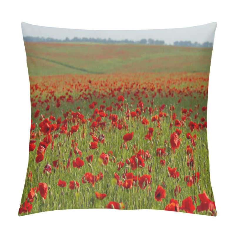 Personality  Poppy field pillow covers
