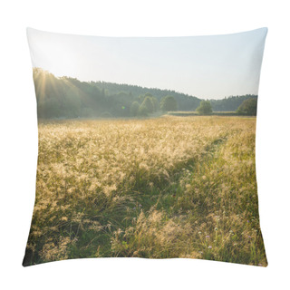 Personality  Misty Fields And Meadows After The Rain In Summer Pillow Covers