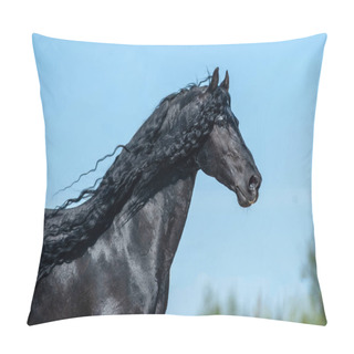 Personality  Beautiful Frisian Stallion  Pillow Covers