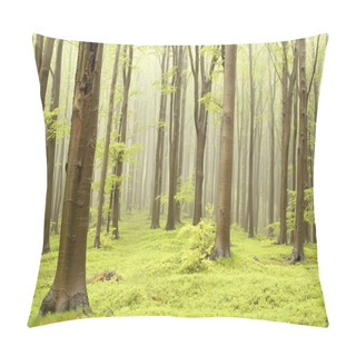 Personality  Spring Beech Forest Pillow Covers