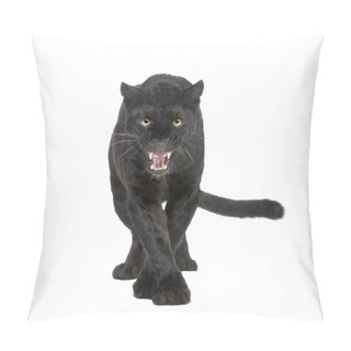 Personality  Black Leopard (6 Years) Pillow Covers